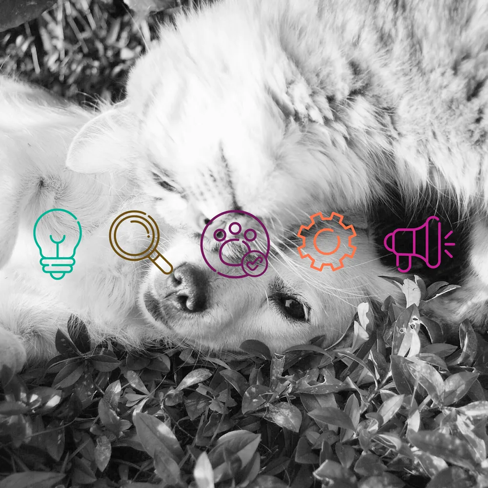 Travel and Pets Magazine